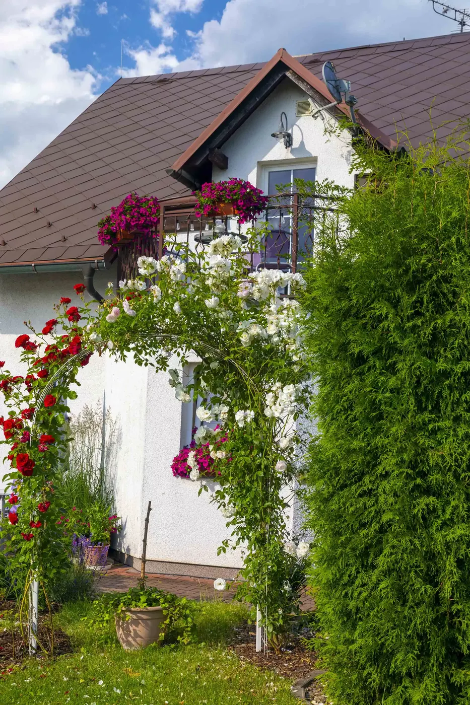 Vila Marcelka — pohled na dům s růžemi a zahradou